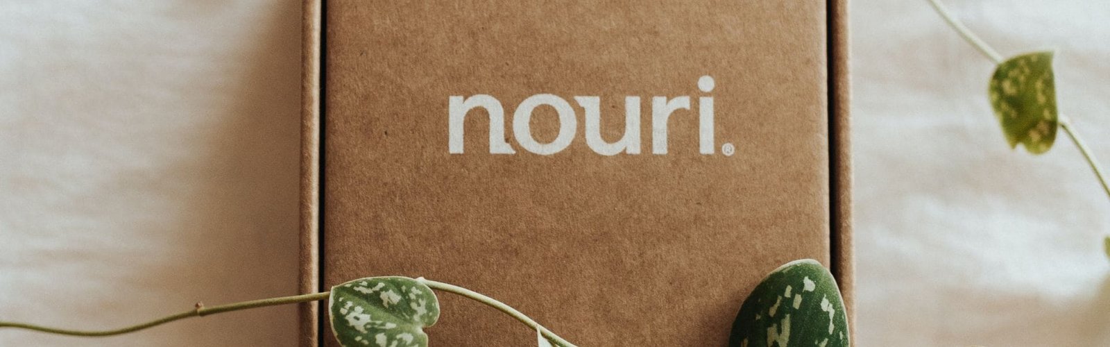 cartó packaging||carton corrugado|carton piedra