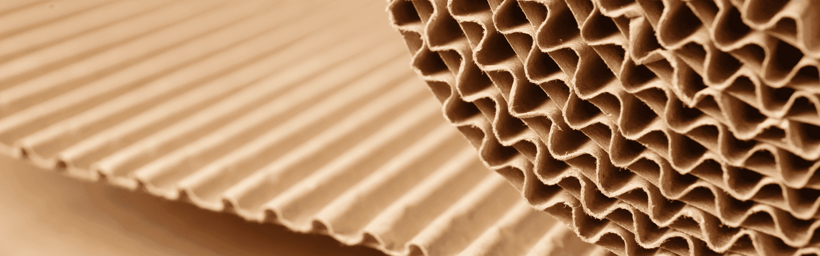 tipos de carton impresion|carton multicapa dispa|carton abiplex arbol|carton nido de abeja