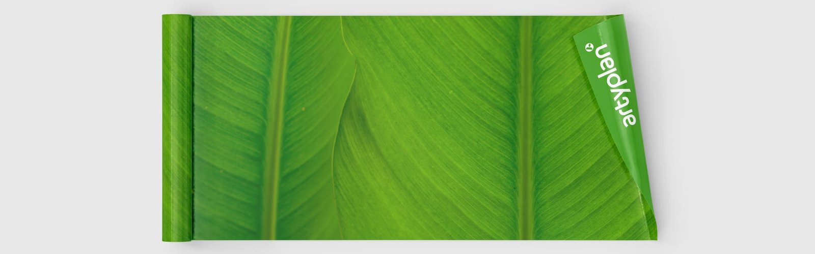 vinilos verde ecológico|escaparate con vinilo de corte ecológico