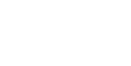 Ametller Origen